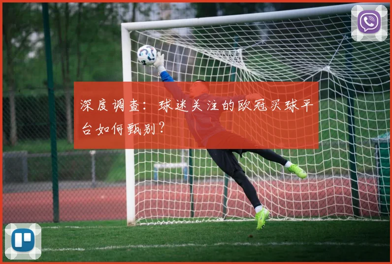 深度调查：球迷关注的欧冠买球平台如何甄别？