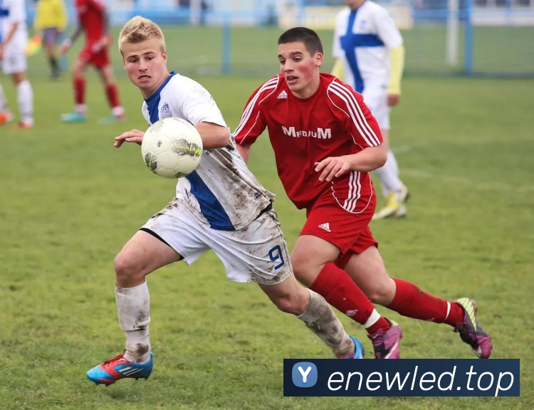 米兰体育app体育安全登录平台生态图