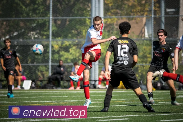 米兰体育app体育安全登录全站App